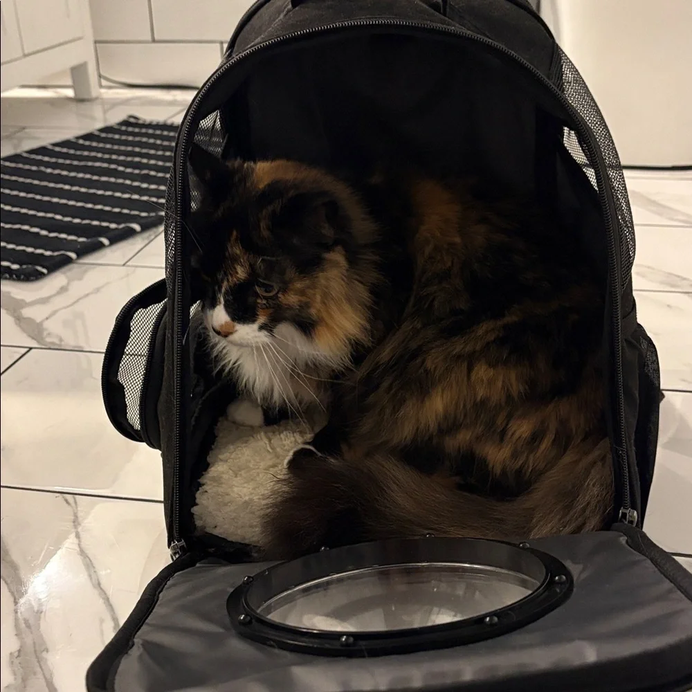 Black pet carrier with Bubble Window